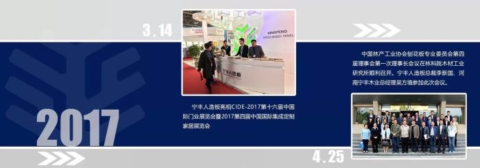 金年会人造板--Best of 2017